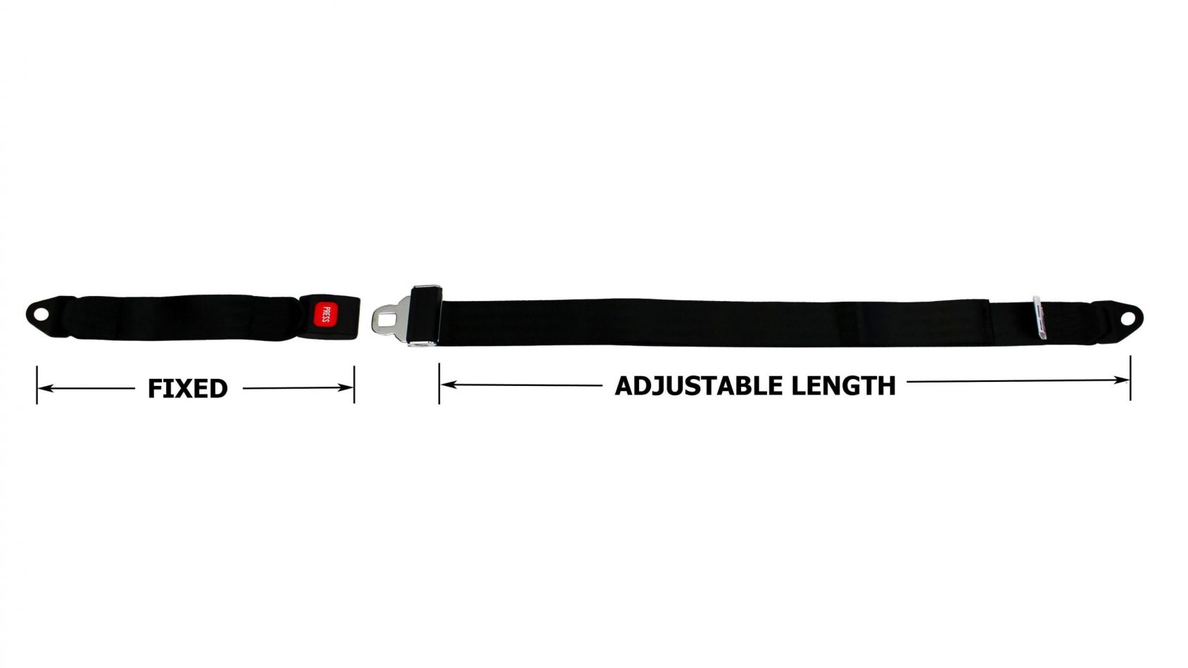 2POINT LAP BELT CTS Cargo TieDown Specialty