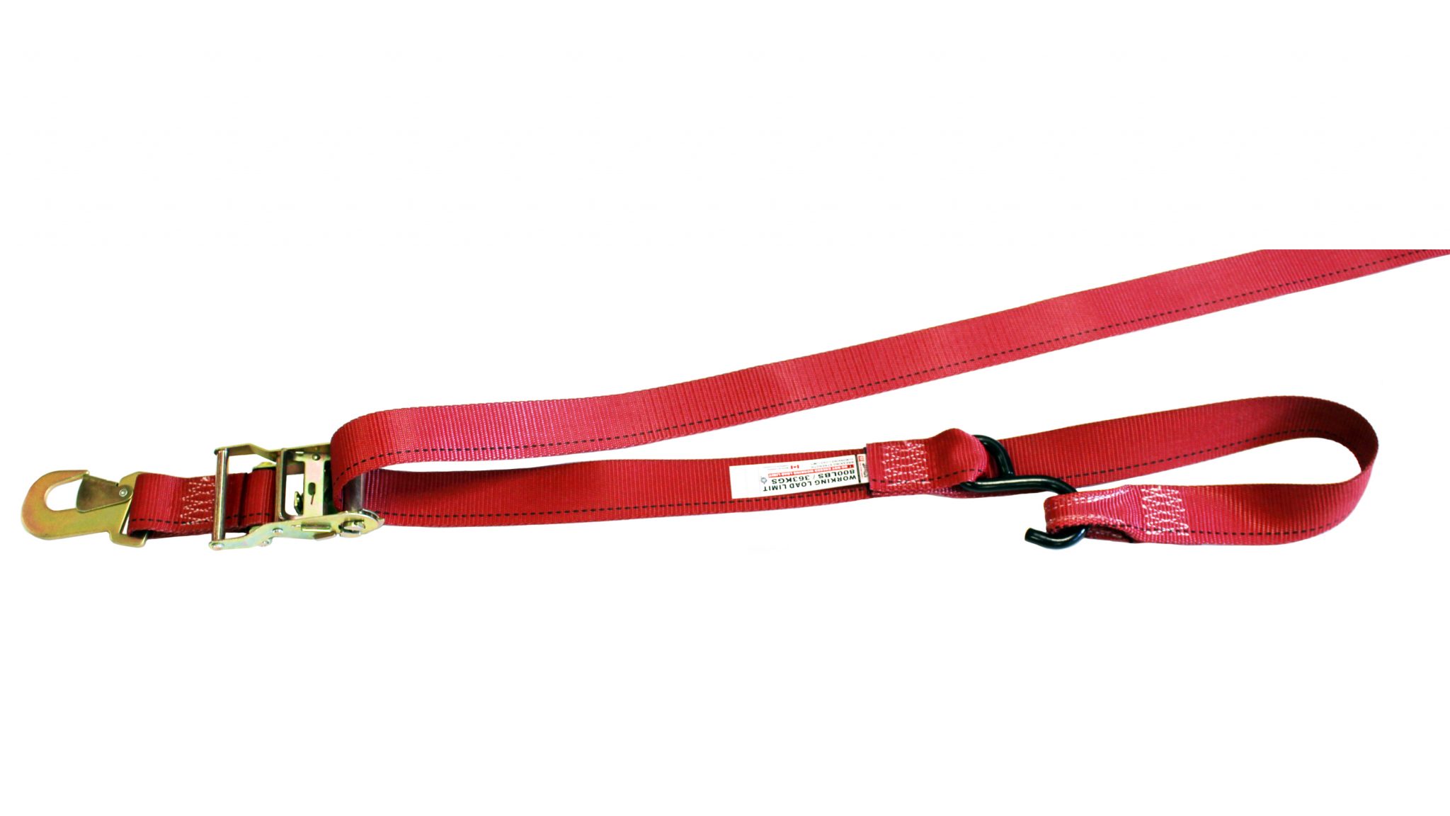 2 Point Lap Belt CTS Cargo TieDown Specialty