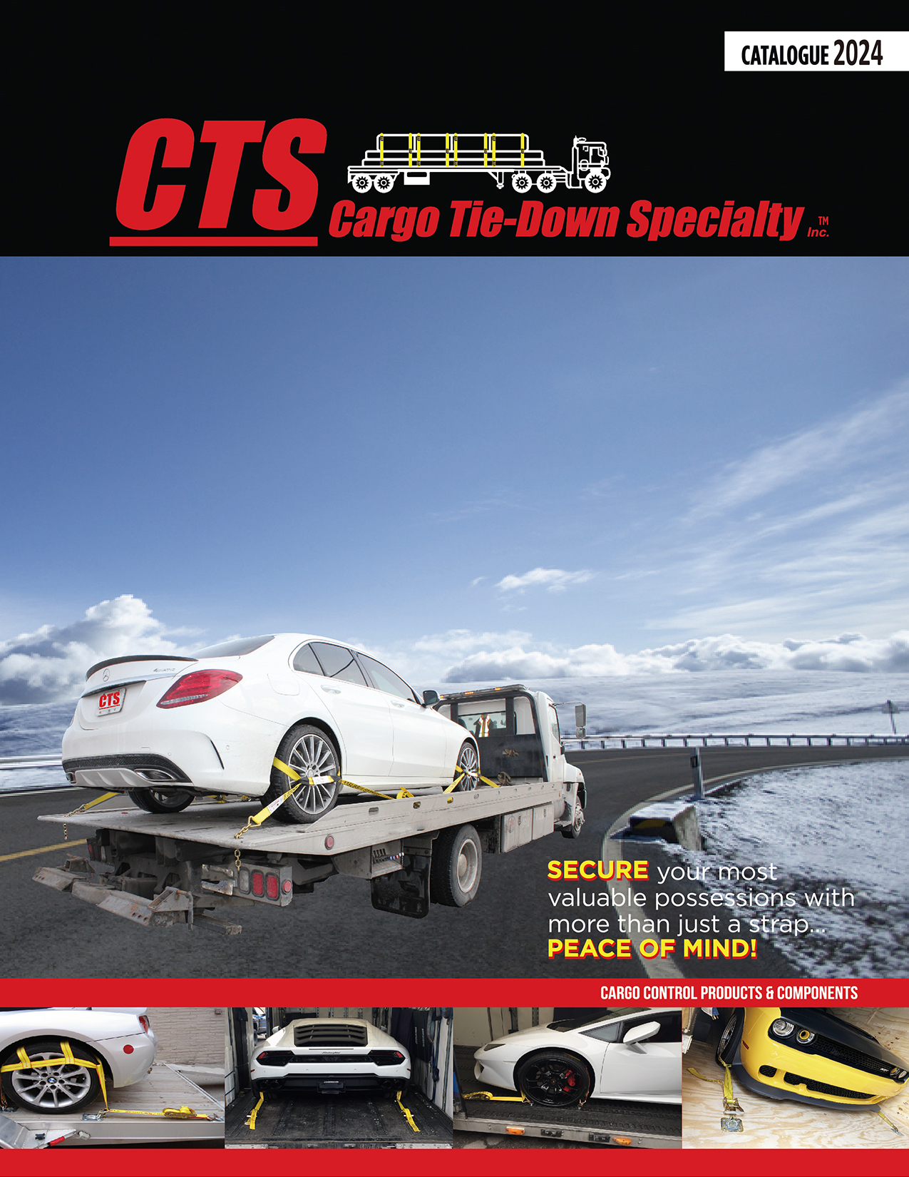 PDF Catalogue CTS Cargo TieDown Specialty
